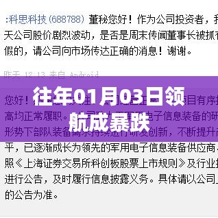 领航成暴跌事件回顾