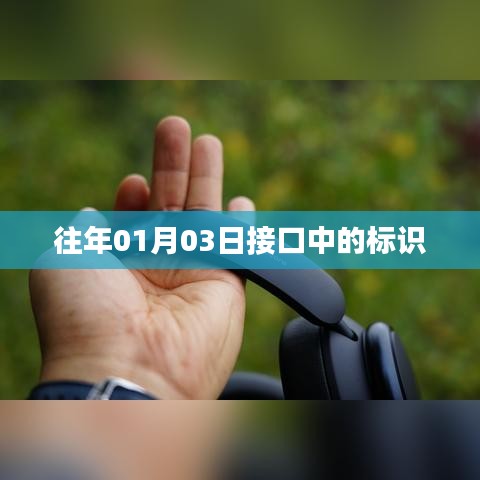 接口标识揭秘，历年首月三日数据解读