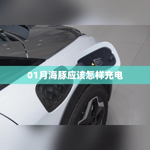 一月海豚充电攻略