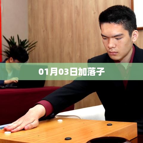 01月03日新动态，加落子事件概览