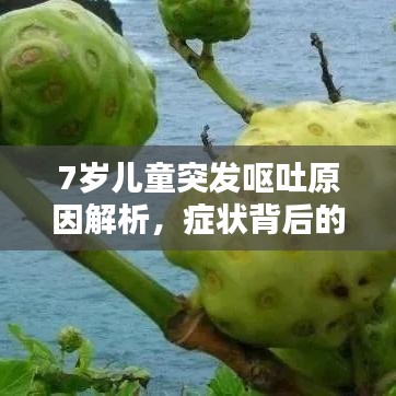 7岁儿童突发呕吐原因解析，症状背后的真相探讨