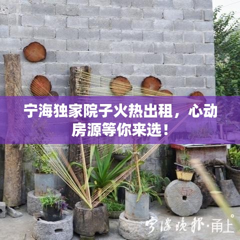 宁海独家院子火热出租，心动房源等你来选！