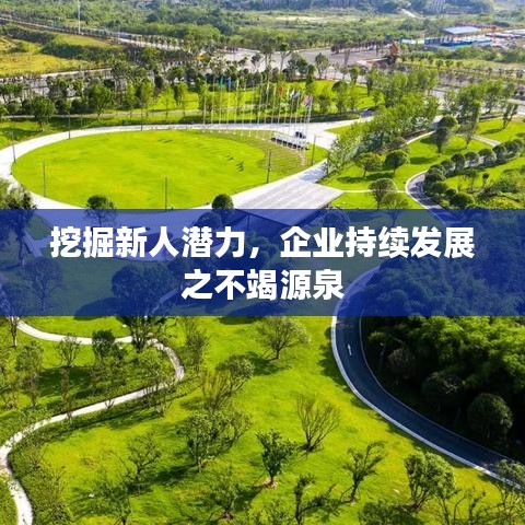 挖掘新人潜力，企业持续发展之不竭源泉