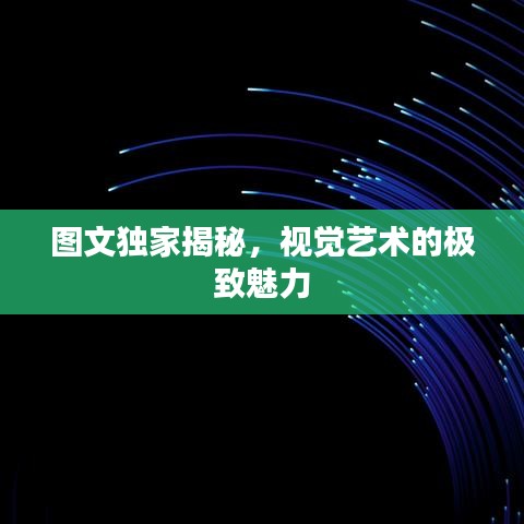 图文独家揭秘，视觉艺术的极致魅力