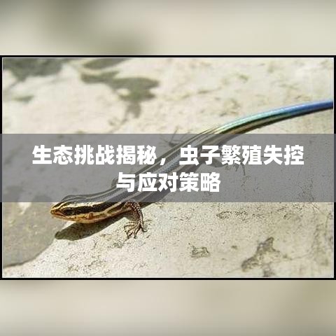 生态挑战揭秘，虫子繁殖失控与应对策略