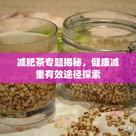 减肥茶专题揭秘，健康减重有效途径探索
