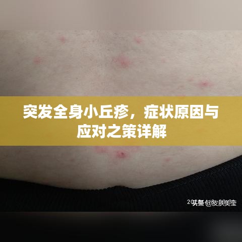 自作主张 第2页