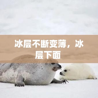 冰层不断变薄，冰层下面 