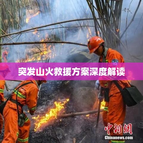一丝不苟 第2页