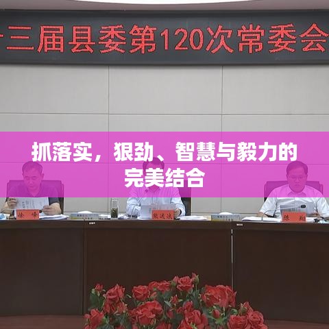 抓落实，狠劲、智慧与毅力的完美结合