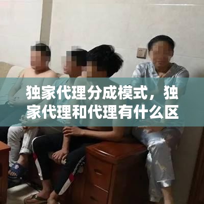 独家代理分成模式，独家代理和代理有什么区别 