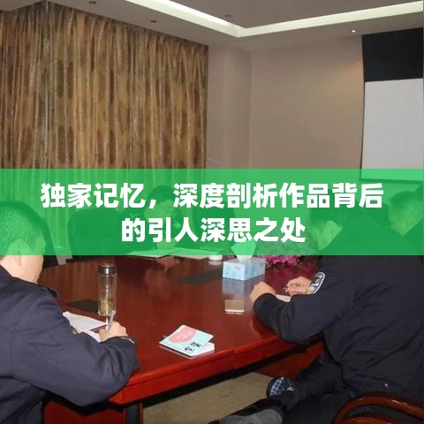 独家记忆，深度剖析作品背后的引人深思之处