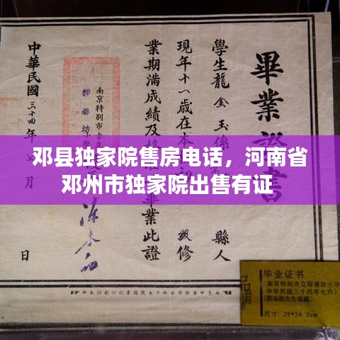 公司新闻 第56页