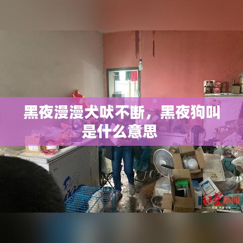 黑夜漫漫犬吠不断，黑夜狗叫是什么意思 