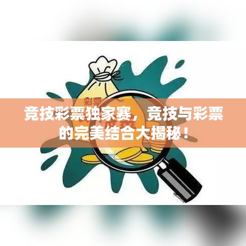 竞技彩票独家赛，竞技与彩票的完美结合大揭秘！