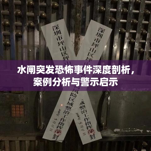 水闸突发恐怖事件深度剖析，案例分析与警示启示