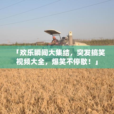 集思广益 第2页