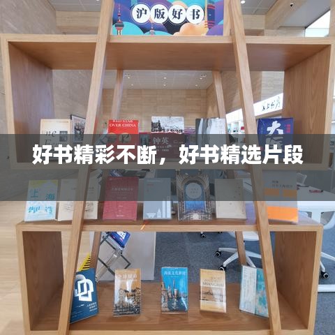 好书精彩不断，好书精选片段 