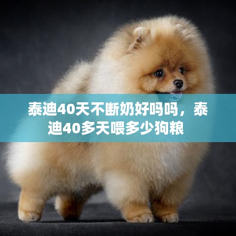 泰迪40天不断奶好吗吗，泰迪40多天喂多少狗粮 