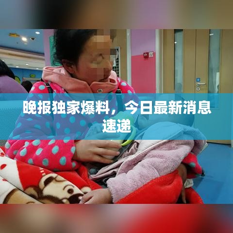 晚报独家爆料，今日最新消息速递