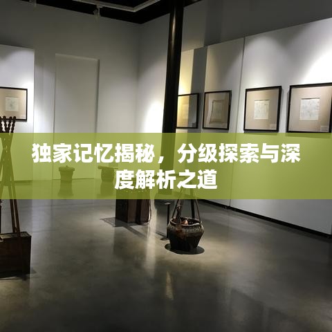 独家记忆揭秘，分级探索与深度解析之道