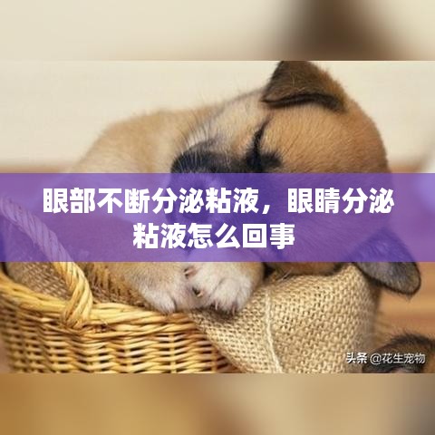 眼部不断分泌粘液，眼睛分泌粘液怎么回事 