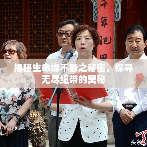 揭秘生命缘不断之秘密，探寻无尽纽带的奥秘