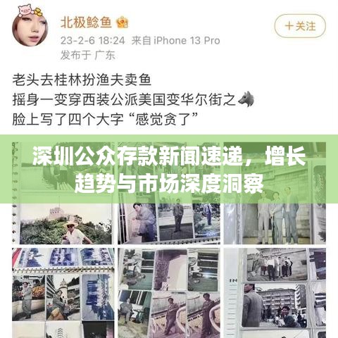 深圳公众存款新闻速递，增长趋势与市场深度洞察