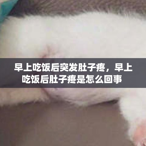早上吃饭后突发肚子疼，早上吃饭后肚子疼是怎么回事 