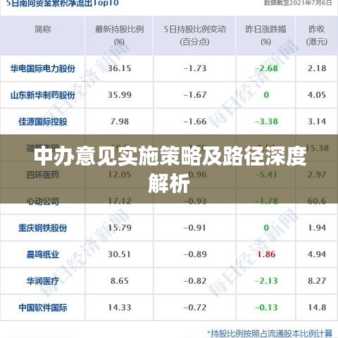 中办意见实施策略及路径深度解析