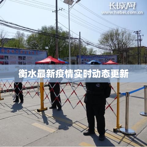 衡水最新疫情实时动态更新