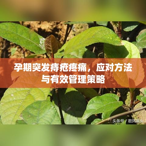 发奋图强 第2页