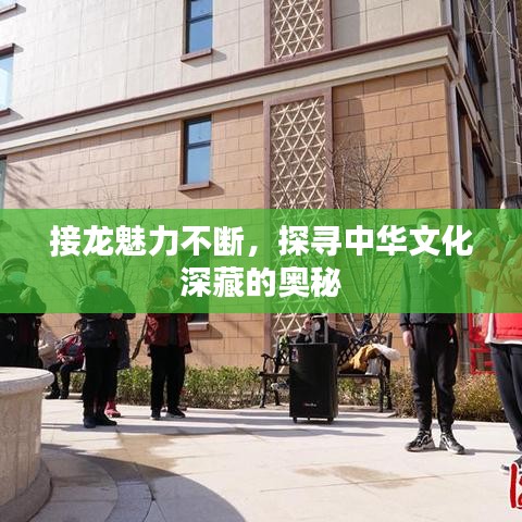 接龙魅力不断，探寻中华文化深藏的奥秘