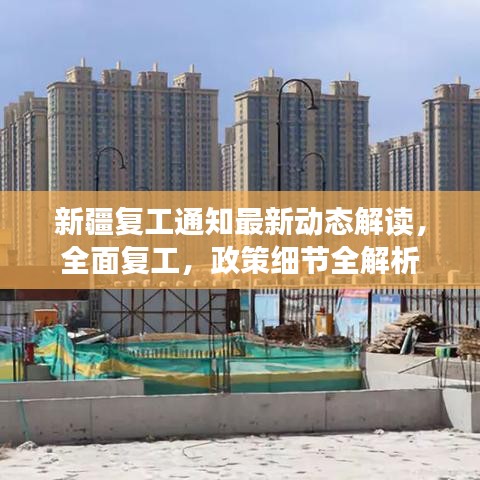 新疆复工通知最新动态解读，全面复工，政策细节全解析