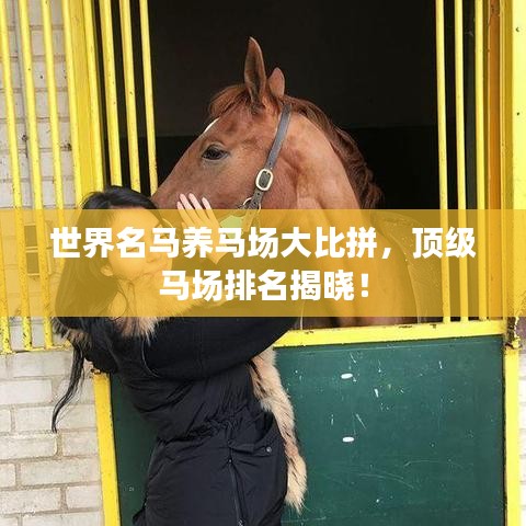 世界名马养马场大比拼，顶级马场排名揭晓！