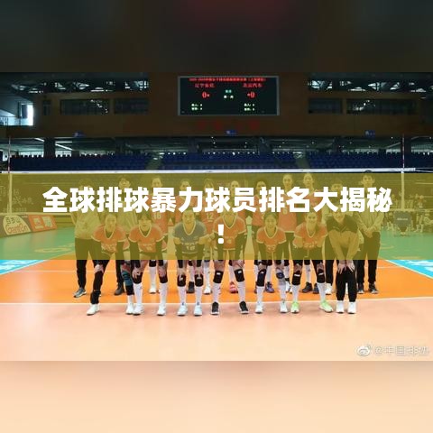 栖冲业简 第2页