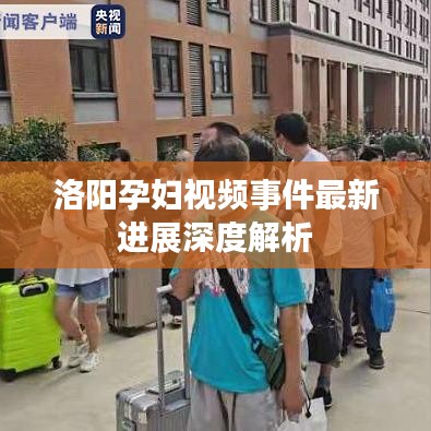 洛阳孕妇视频事件最新进展深度解析