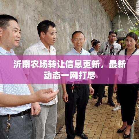 沂南农场转让信息更新，最新动态一网打尽