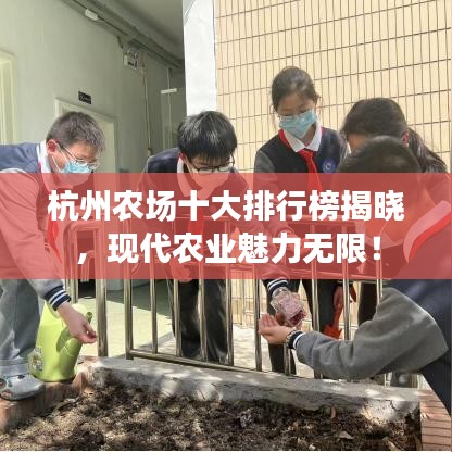 杭州农场十大排行榜揭晓，现代农业魅力无限！