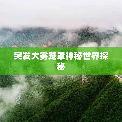 突发大雾笼罩神秘世界探秘