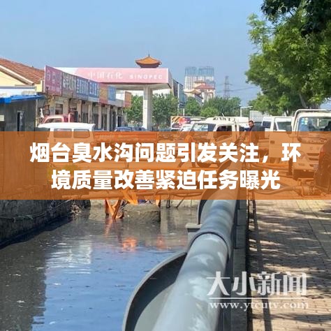 屈高就下 第2页