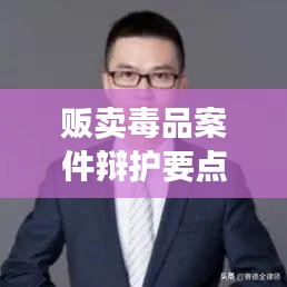 毒品案件辩护要点深度解析