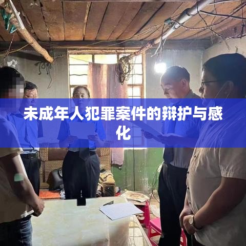 未成年人犯罪案件辩护与感化之道