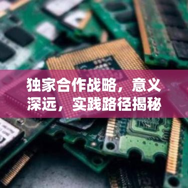 独家合作战略，意义深远，实践路径揭秘！