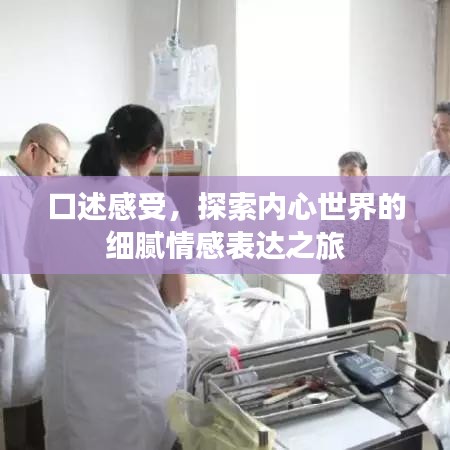 口述感受，探索内心世界的细腻情感表达之旅