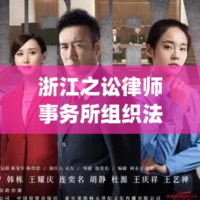 浙江之讼律师事务所法律沙龙，深化交流与研究