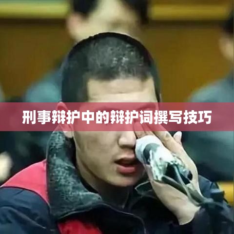 刑事辩护辩护词撰写技巧解析
