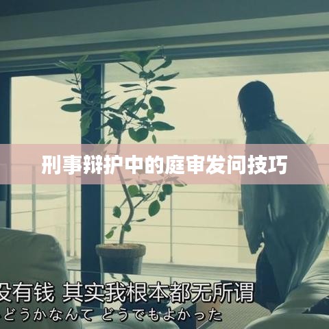 刑事辩护庭审发问技巧解析