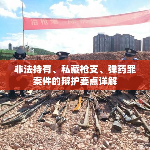 非法持有枪支弹药罪辩护要点详解，浙江之讼律师事务所专业解读