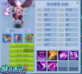 桃花源记叶子猪激活码或同桌官方免费下载,系统化说明解析-UHD款_v7.559